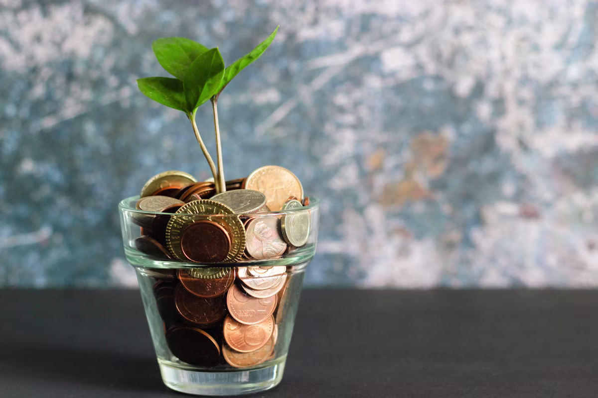 Emergency fund savings